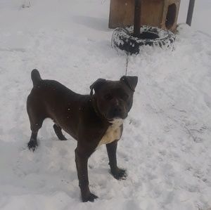 Meet your Posher, Darice